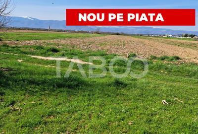 Teren agricol extravilan de 4166 mp, în Șelimbăr