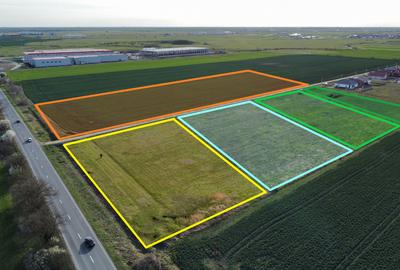 Teren Construcții intravilan de 6182 mp, în Sânandrei