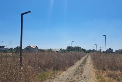 DIMIENI - ILFOV / STR. STRAJA / TEREN 1000 mp / 2000 mp - 19
