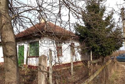 Casa bătrânească 110 mp cu anexe si teren generos de 2.263 mp - 3
