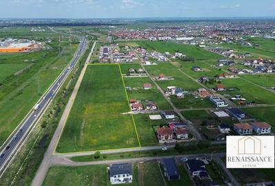 Teren Construcții intravilan de 22723 mp, în Moșnița Nouă