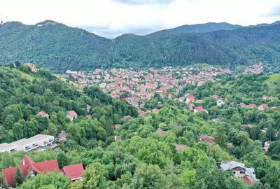 Teren Intravilan - Vedere Panoramica - 14