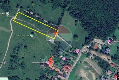 Teren 7.885 mp în Durău – poziție premium, belvedere 360° - 4
