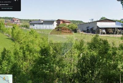 Teren agricol intravilan de 4367 mp, în Hidișelu de Sus