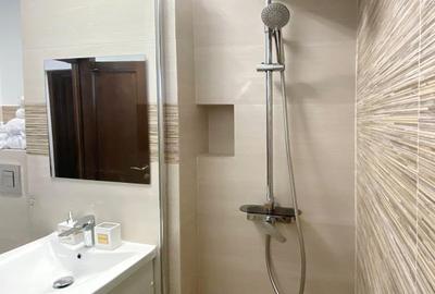 Apartament de vanzare Piata Victoriei Titulescu, parc Kiseleff si metrou la 450m - 11