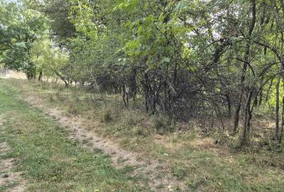 TEREN IN VLADESTI - NATURA, LINISTE SI DOAR 7 KM PANA IN CENTRUL RAMNICULUI - 6