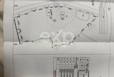 Refugiu la țară: casă cu 2 camere și teren de aproape 4.000 mp, Cocu - 1