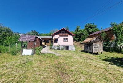 Casă individuală cu 2 camere în Boțești