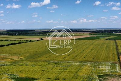 Teren Intravilan 20.000 mp Creața Dascălu, T66– dubla deschidere - 5