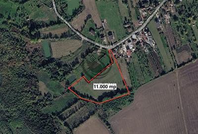 Teren Construcții intravilan de 11000 mp, în Ghirdoveni