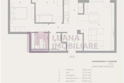 Apartament 3 camere | 2 bai | Turnisor | lift | INTABULAT | boxa C1 - 7