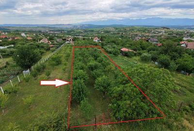 Teren intravilan 1000 mp in Sibiu Daia Noua - 3