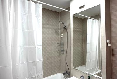 Inchiriere 2 camere HILS TITANIUM cu parcare subterana - 11
