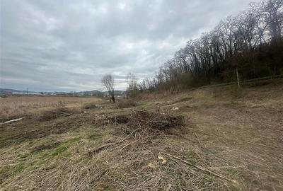 Teren intravilan si extravilan 2025 mp  Medias zona Kaufland - 1
