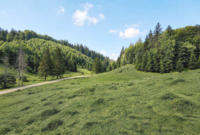 Oportunitate Investiție–Teren Intravilan 2.763 mp, Poiana Brașov Str. Stânii - 3