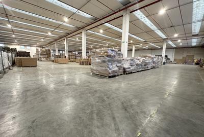 Spațiu industrial, de 1,000.00 mp, în Borș