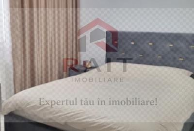 Apartament de inchiriat Curtea de Arges Progresu - 10