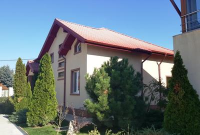 Drumul Negru - Pipera, vila P+1E, locatie linistita - 20
