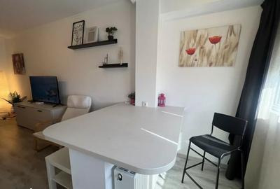 Garsoniera renovata, metrou, Drumul Taberei - 4