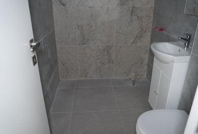 Apartament 3 camere Nicolae Grigorescu - 9