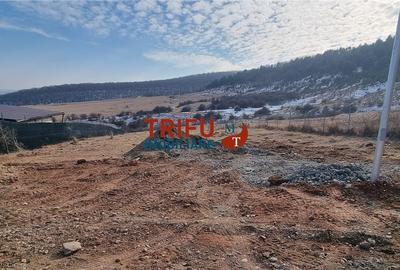 Teren Construcții intravilan de 1020 mp, în Ampoi 1