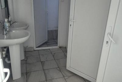 Spatiu Theodor Pallady - 12