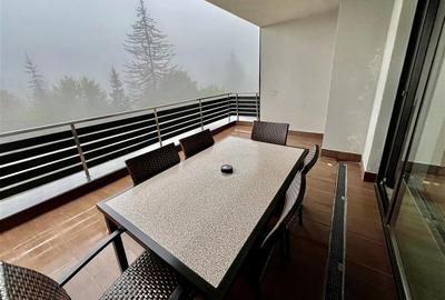 Proprietate exclusivista 4 camere Silver Mountain - 21