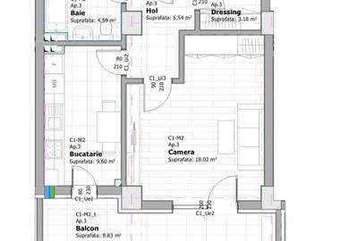 APARTAMENT DECOMANDAT, 1 CAMERA, DRESSING SEPARAT, BALCON DESCHIS, TATARASI - 5