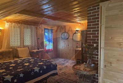 Cabana autentica de munte Frasinet - Baisoara 600 mp teren - 22
