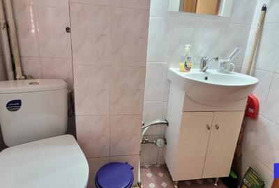 Chirie 2 camere, gata de mutare, lângă teatrul de vară Radu Beligan, renovat! - 27