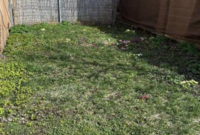 Apartament in casa cu 2 camere ,beci si curte pe Strada Titulescu ,zona Afi - 10