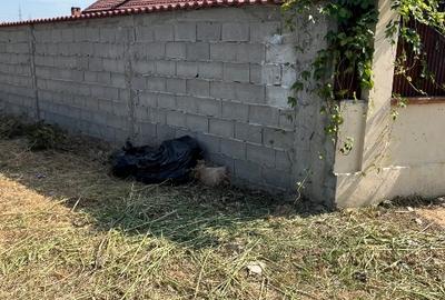 Teren intravilan Albești, Dolj - 1