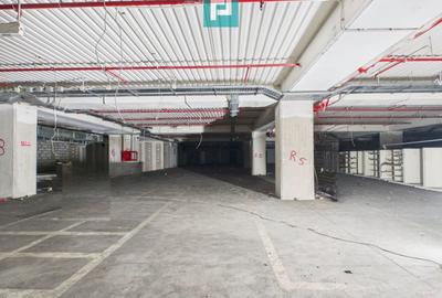 Hală 3.000 mp de depozitare Calea Aurel Vlaicu - 11