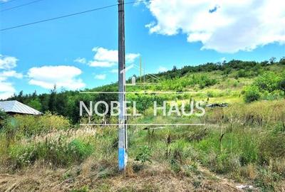 Teren intravilan. 1300 mp, loc Bogdanesti, jud Vaslui - 3