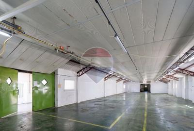 Proprietate industrialǎ 3 hale, teren 12.190 mp - 1