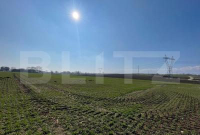 Teren Construcții intravilan de 7300 mp, în Fălticeni