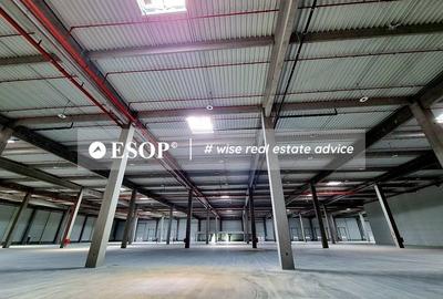 Spațiu industrial, 5000 mp în Sud-Vest