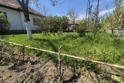 Casa individuala de vanzare in Iclod, 120 mp utili, teren 1260 mp - 2