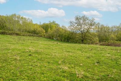 Teren 2.311 mp în Vlădești (Fundătura)–Ideal pt. casă de vacanță sau investiție - 1