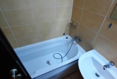 Apartament cu 2 camere, etaj 5/8, zona Tatarasi - Green Park - 4