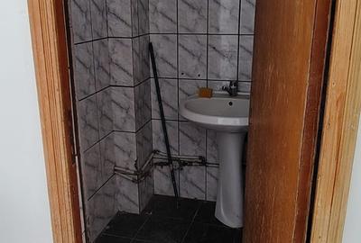 Spatiu comercial Piata Mare de inchiriat! - 3