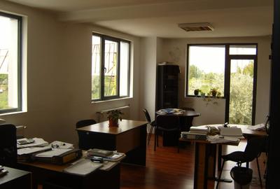 Spatiu comercial(birouri,depozit,locuinta,garaj,2 curti) - 4