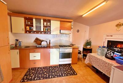 Casă mobilată și utilată, renovată complet, teren 1.410 mp - 14