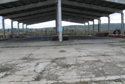 Mures Ludus Vand teren 26.750mp si hala 2.843mp - 1