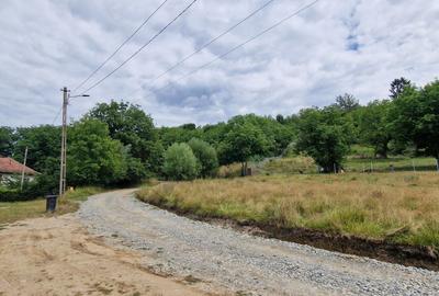 Teren Construcții intravilan de 11000 mp, în Sud