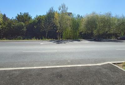 Teren 1.019 mp în Tunari – Centru cu vedere către promenada râului Pasărea - 7