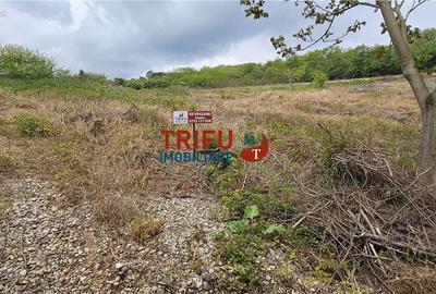Teren Construcții intravilan de 1250 mp, în Ampoi 1