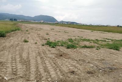 Teren pentru hale si depozite Timisul sec- Uzina 2 front la ocolitoare - 3