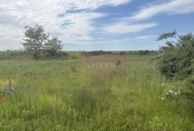 Teren agricol intravilan de 9974 mp, în Corbeanca