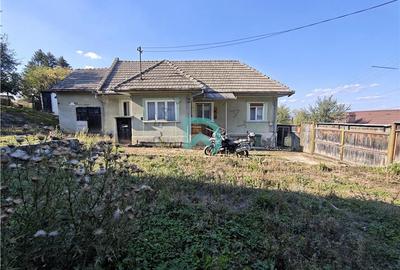 Casă individuală cu 2 camere în Turcheș